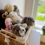 Holiday home Forest Escape 35min From Tallinn - Hottub & Sauna *